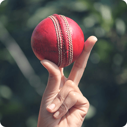 Professional Umpires